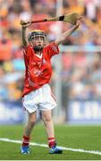 28 September 2013; Cian Sparling, from St. Nicholas NS, Adare, Co. Limerick, representing Cork. INTO/RESPECT Exhibition GoGames during the GAA Hurling All-Ireland Senior Championship Final Replay between Cork and Clare, Croke Park, Dublin. Picture credit: Stephen McCarthy / SPORTSFILE