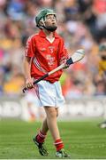 28 September 2013; Ryan McCarthy, from St. Fergal's NS, Killeagh, Co. Cork. INTO/RESPECT Exhibition GoGames during the GAA Hurling All-Ireland Senior Championship Final Replay between Cork and Clare, Croke Park, Dublin. Picture credit: Stephen McCarthy / SPORTSFILE