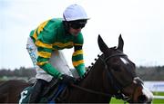 1 February 2025; Majborough, with Mark Walsh up, on their way to winning the Goffs Irish Arkle Novice Steeplechase during day one of the Dublin Racing Festival at Leopardstown Racecourse in Dublin. Photo by Shauna Clinton/Sportsfile