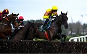 1 February 2025; Galopin Des Champs, with Paul Townend up, jump the last 'first time round' during The Paddy Power Irish Gold Cup during day one of the Dublin Racing Festival at Leopardstown Racecourse in Dublin. Photo by Shauna Clinton/Sportsfile