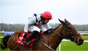 2 February 2025; Ballyburn, with Paul Townend up, on their way to winning The Ladbrokes Novice Steeplechase during day two of the Dublin Racing Festival at Leopardstown Racecourse in Dublin. Photo by Shauna Clinton/Sportsfile