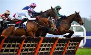 2 February 2025; Kopek Des Bordes, with Paul Townend up, centre, jump the last 'first time round' in The Tattersalls Ireland Novice Hurdle during day two of the Dublin Racing Festival at Leopardstown Racecourse in Dublin. Photo by Shauna Clinton/Sportsfile