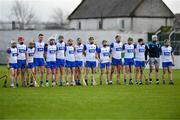 2 February 2025; The Waterford team stand for the playing of Amhrán na bhFiann before the Allianz Hurling League Division 1B match between Carlow and Waterford at Netwatch Cullen Park in Carlow. Photo by Stephen Marken/Sportsfile