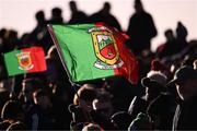 2 February 2025; A supporter waves a Mayo flag at the Allianz Football League Division 1 match between Mayo and Galway at Hastings Insurance MacHale Park in Castlebar, Mayo. Photo by Piaras Ó Mídheach/Sportsfile