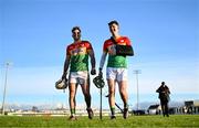 2 February 2025; Chris Nolan, left, and Tony Lawlor of Carlow after their side's victory in the Allianz Hurling League Division 1B match between Carlow and Waterford at Netwatch Cullen Park in Carlow. Photo by Stephen Marken/Sportsfile