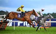 2 February 2025; Lossiemouth, with Danny Mullins up, leads eventual winner State Man, with Paul Townend up, over the last 'first time round' during the The Irish Champion Hurdle during day two of the Dublin Racing Festival at Leopardstown Racecourse in Dublin. Photo by Shauna Clinton/Sportsfile