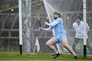9 February 2025; Limerick goalkeeper Shane Dowling concedes a goal during the Allianz Hurling League Division 1A match between Limerick and Tipperary at TUS Gaelic Grounds in Limerick. Photo by Seb Daly/Sportsfile