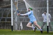 9 February 2025; Limerick goalkeeper Shane Dowling concedes a goal during the Allianz Hurling League Division 1A match between Limerick and Tipperary at TUS Gaelic Grounds in Limerick. Photo by Seb Daly/Sportsfile