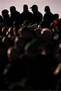 2 February 2025; Spectators during the Allianz Football League Division 1 match between Mayo and Galway at Hastings Insurance MacHale Park in Castlebar, Mayo. Photo by Piaras Ó Mídheach/Sportsfile