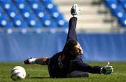 7 September 2004; Shay Given, Republic of Ireland goalkeeper, in action during squad training. St. Jakob Park, Basle, Switzerland. Picture credit; David Maher / SPORTSFILE