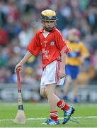 28 September 2013; Cian Sparling, St. Nicholas NS, Adare, Co. Limerick, representing Cork. INTO/RESPECT Exhibition GoGames during the GAA Hurling All-Ireland Senior Championship Final Replay between Cork and Clare, Croke Park, Dublin. Picture credit: Ray McManus / SPORTSFILE
