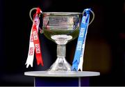 29 September 2013; The Brendan Martin Cup. TG4 All-Ireland Ladies Football Senior Championship Final, Cork v Monaghan, Croke Park, Dublin. Picture credit; Ray McManus / SPORTSFILE