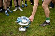 15 February 2025; A general view of the Fitzgibbon Cup after the Electric Ireland Higher Education GAA Fitzgibbon Cup final match between DCU Dóchas Éireann and University of Limerick at the GAA Connacht Centre of Excellence in Bekan, Mayo. Photo by Piaras Ó Mídheach/Sportsfile