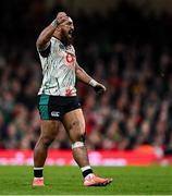 22 February 2025; Bundee Aki of Ireland celebrates winning a penalty during the Guinness Six Nations Rugby Championship match between Wales and Ireland at the Principality Stadium in Cardiff, Wales. Photo by Seb Daly/Sportsfile