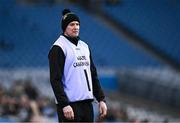 22 February 2025; Offaly hurley carrier Séamus Callanan during the Allianz Hurling League Division 1B match between Dublin and Offaly at Croke Park in Dublin. Photo by Piaras Ó Mídheach/Sportsfile