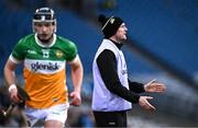 22 February 2025; Offaly hurley carrier Séamus Callanan during the Allianz Hurling League Division 1B match between Dublin and Offaly at Croke Park in Dublin. Photo by Piaras Ó Mídheach/Sportsfile