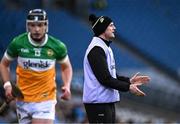 22 February 2025; Offaly hurley carrier Séamus Callanan during the Allianz Hurling League Division 1B match between Dublin and Offaly at Croke Park in Dublin. Photo by Piaras Ó Mídheach/Sportsfile