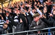 27 February 2025; A Belvedere College supporter look on during the Bank of Ireland Leinster Rugby Boys Schools Junior Cup second round match between St Michael's College and Belvedere College at Energia Park in Dublin. Photo by Shauna Clinton/Sportsfile