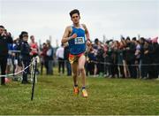 8 March 2025; Noah Harris of ETSS Wicklow on his way to winning the Senior Boys 6,000m during the 123.ie All Ireland Schools Cross Country Championships at Galway Racecourse in Ballybrit, Galway. Photo by Tom Beary/Sportsfile