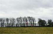 8 March 2025; Cillian Gleeson of Coláiste Chiaráin, left, and Noah Harris of ETSS Wicklow  competes in the Senior Boys 6,000m during the 123.ie All Ireland Schools Cross Country Championships at Galway Racecourse in Ballybrit, Galway. Photo by Tom Beary/Sportsfile