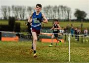 8 March 2025; Cathal O'Rourke of St Flannans Ennis competes in the Junior Boys 3,500m during the 123.ie All Ireland Schools Cross Country Championships at Galway Racecourse in Ballybrit, Galway. Photo by Tom Beary/Sportsfile