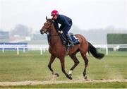 10 March 2025: Jack Kennedy on Kala Conti ahead of the Cheltenham Racing Festival at Prestbury Park in Cheltenham, England. Photo by Harry Murphy/Sportsfile