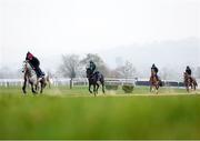 10 March 2025: A string of horses from the Gordon Elliott stables ahead of the Cheltenham Racing Festival at Prestbury Park in Cheltenham, England. Photo by Harry Murphy/Sportsfile