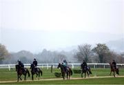 10 March 2025: A string of horses from the Gordon Elliott stables ahead of the Cheltenham Racing Festival at Prestbury Park in Cheltenham, England. Photo by Harry Murphy/Sportsfile