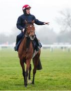 10 March 2025: Jack Kennedy on Kala Conti ahead of the Cheltenham Racing Festival at Prestbury Park in Cheltenham, England. Photo by Harry Murphy/Sportsfile