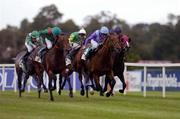 11 September 2004; Azamour, left, with Mick Kinane up, on their way to winning the Baileys Irish Champion Stakes from  Norse Dancer, J.F. Egan, and Powerscourt, Jamie Spencer, right. Leopardstown Racecorse, Dublin. Picture credit; Ray McManus / SPORTSFILE
