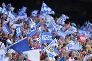 29 September 2013; Supporters wave their flags during the game. TG4 All-Ireland Ladies Football Interrmediate Championship Final, Cavan v Tipperary, Croke Park, Dublin. Picture credit: Brendan Moran / SPORTSFILE
