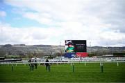 11 March 2025; A photograph of the late Jockey Michael O'Sullivan is shown on the big screen before the Michael O'Sullivan Supreme Novices Hurdle on day one of the Cheltenham Racing Festival at Prestbury Park in Cheltenham, England. Photo by David Fitzgerald/Sportsfile