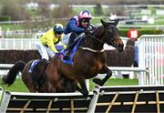11 March 2025: Kopek Des Bordes, with Paul Townend up, clears the last on the way to winning the Michael O’Sullivan Supreme Novices’ Hurdle on day one of the Cheltenham Racing Festival at Prestbury Park in Cheltenham, England. Photo by David Fitzgerald/Sportsfile