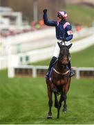 11 March 2025: Paul Townend, aboard Kopek Des Bordes, celebrates after winning the Michael O’Sullivan Supreme Novices’ Hurdle on day one of the Cheltenham Racing Festival at Prestbury Park in Cheltenham, England. Photo by Harry Murphy/Sportsfile