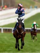 11 March 2025: Paul Townend, aboard Kopek Des Bordes, celebrates by pointing to a Cork crest after winning the Michael O’Sullivan Supreme Novices’ Hurdle on day one of the Cheltenham Racing Festival at Prestbury Park in Cheltenham, England. Photo by Harry Murphy/Sportsfile