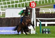 11 March 2025: Majborough, with Mark Walsh up, almost falls at the second last in the The My Pension Expert Arkle Novices’ Chase on day one of the Cheltenham Racing Festival at Prestbury Park in Cheltenham, England. Photo by David Fitzgerald/Sportsfile