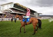 11 March 2025: Nico de Boinville, aboard Jango Baie, after winning the The My Pension Expert Arkle Novices’ Chase on day one of the Cheltenham Racing Festival at Prestbury Park in Cheltenham, England. Photo by Harry Murphy/Sportsfile