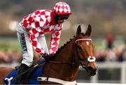 11 March 2025: Nico de Boinville, aboard Jango Baie, after winning the The My Pension Expert Arkle Novices’ Chase on day one of the Cheltenham Racing Festival at Prestbury Park in Cheltenham, England. Photo by Harry Murphy/Sportsfile