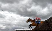 11 March 2025: Nico de Boinville, aboard Jango Baie, clears the last on the way to winning the The My Pension Expert Arkle Novices’ Chase on day one of the Cheltenham Racing Festival at Prestbury Park in Cheltenham, England. Photo by David Fitzgerald/Sportsfile