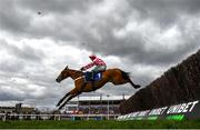 11 March 2025: Nico de Boinville, aboard Jango Baie, clears the last on the way to winning the The My Pension Expert Arkle Novices’ Chase on day one of the Cheltenham Racing Festival at Prestbury Park in Cheltenham, England. Photo by David Fitzgerald/Sportsfile