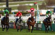 11 March 2025: Nico de Boinville, aboard Jango Baie, ahead of second placed Only By Knight, left, with Keith Donoghue up, fourth placed L'eau Du Sud, with Harry Skelton up, and third placed Majborough, with Mark Walsh up, celebrates after winning the The My Pension Expert Arkle Novices’ Chase on day one of the Cheltenham Racing Festival at Prestbury Park in Cheltenham, England. Photo by Harry Murphy/Sportsfile