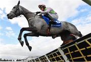 11 March 2025: Lossiemouth, with Paul Townend up, clear the last first time round on their way to winning the Close Brothers Mares’ Hurdle Race on day one of the Cheltenham Racing Festival at Prestbury Park in Cheltenham, England. Photo by David Fitzgerald/Sportsfile