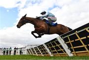 11 March 2025: Jade De Grugy, with Danny Mullins up, clear the last, first time round on their way to winning the Close Brothers Mares’ Hurdle Race on day one of the Cheltenham Racing Festival at Prestbury Park in Cheltenham, England. Photo by David Fitzgerald/Sportsfile