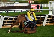 11 March 2025: State Man, with Paul Townend up, falls at the last fence during the Unibet Champion Hurdle on day one of the Cheltenham Racing Festival at Prestbury Park in Cheltenham, England. Photo by David Fitzgerald/Sportsfile