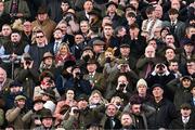 11 March 2025: Racegoer react after watching Constitution Hill fall during the Unibet Champion Hurdle on day one of the Cheltenham Racing Festival at Prestbury Park in Cheltenham, England. Photo by David Fitzgerald/Sportsfile