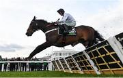 11 March 2025: Constitution Hill, with Nico de Boinville up, clear the last, first time round, during the Unibet Champion Hurdle on day one of the Cheltenham Racing Festival at Prestbury Park in Cheltenham, England. Photo by David Fitzgerald/Sportsfile