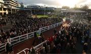 11 March 2025; Puturhandstogether, with Mark Walsh up, comes in after winning the Hallgarten And Novum Wines Juvenile Handicap Hurdle on day one of the Cheltenham Racing Festival at Prestbury Park in Cheltenham, England. Photo by Harry Murphy/Sportsfile