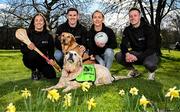 12 March 2025; In attendance are, from left, Cork camogie player Amy O'Connor, Galway footballer Shane Walsh, Leitrim footballer Clare Owens and Monaghan footballer Dessie Ward, with ambassador guide dog Belle, front, and guide dog Paris during the launch of the GPA and Irish Guide Dogs for the Blind official charity partnership between the two organisations for 2025, at the National Botanic Gardens of Ireland in Glasnevin, Dublin. Photo by Seb Daly/Sportsfile