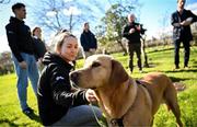 12 March 2025; Guide dog Paris and Leitrim footballer Clare Owens during the launch of the GPA and Irish Guide Dogs for the Blind official charity partnership between the two organisations for 2025, at the National Botanic Gardens of Ireland in Glasnevin, Dublin. Photo by Seb Daly/Sportsfile