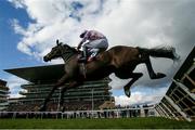 12 March 2025; Sixmilebridge, with Kielan Woods up, jumps the last, first time round during The Turners Novices’ Hurdle Race with The New Lion on day two of the Cheltenham Racing Festival at Prestbury Park in Cheltenham, England. Photo by Harry Murphy/Sportsfile